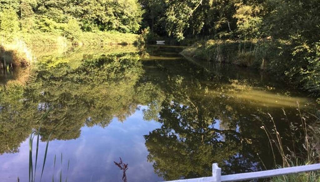 windermere apartments