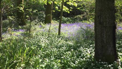 windermere boutique cottage